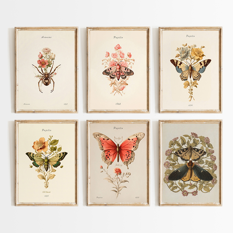 Resin Art And Deco - Vintage Spider Butterfly Floral Insect Illustration
