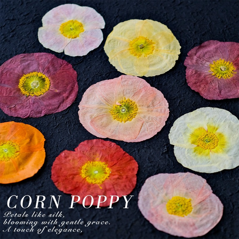 1pcs,Nature Field Poppy Presse - Resin Art Mold recension och pris
