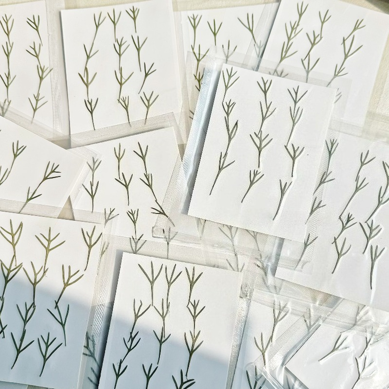 24pcs,Real Pressed Achillea Le - Resin Art Mold recension och pris